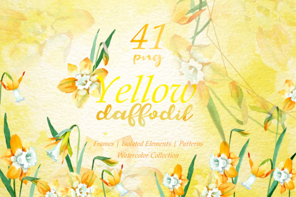 Download Yellow Daffodil Watercolor - Daffodil Collection
