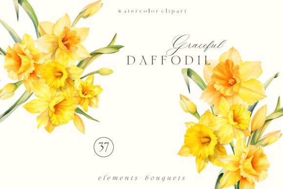 Download Watercolor Daffodil Clipart PNG - Daffodil Collection
