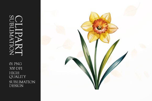 Download Daffodil Clipart PNG - Daffodil Collection