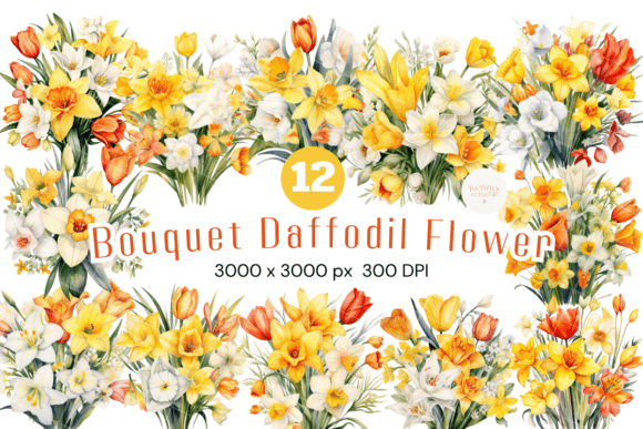 Download Watercolor Daffodil Flowers - Daffodil Collection