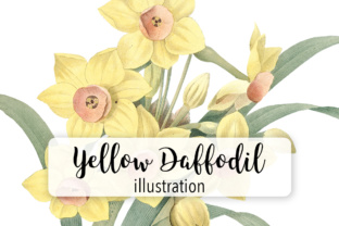 Download Yellow Daffodil Watercolor Flower - Daffodil Collection