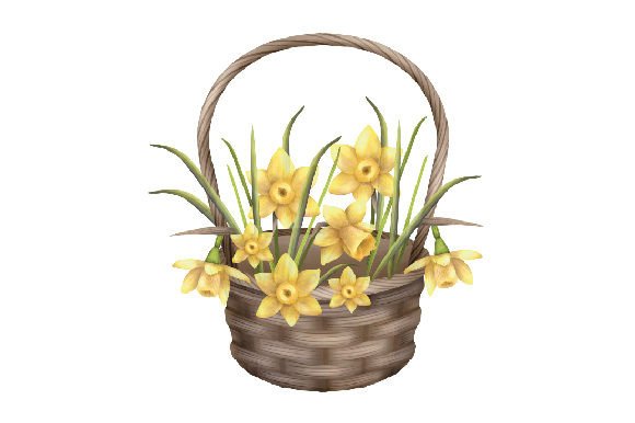 Download Bouquet of Yellow Daffodil Flowers in a Basket, Watercolor - Daffodil Collection