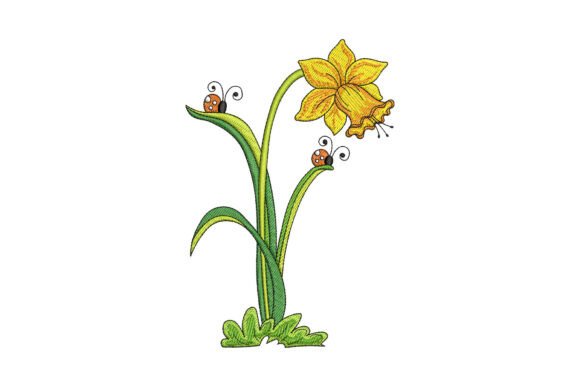 Download Daffodil Flower - Daffodil Collection