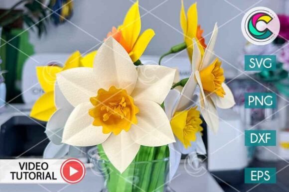 Download Daffodil Flower SVG - Daffodil Collection
