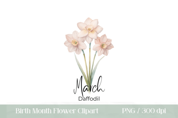 Download Birth Month Flower March Daffodil PNG - Daffodil Collection